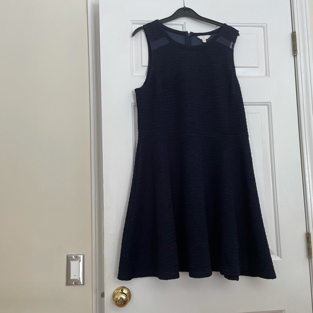 Blue Fit and Flare Dress XL